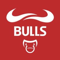 Traders Network Bulls Markets