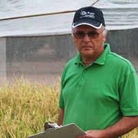 Manuel Aguilar