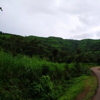 Eden Service