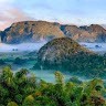 Nature With Future