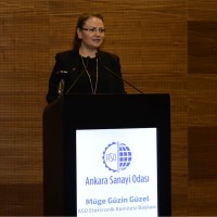 Müge Ertuğ Güzel