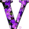 Vicky S.