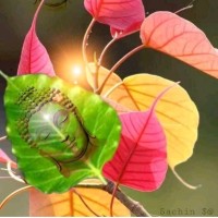 Sakar Jadhav
