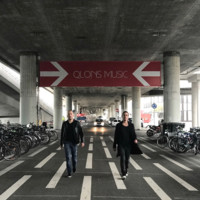 David5 Quinto