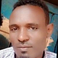 Zewude Haile