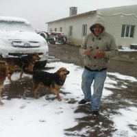 Bekir Kaya
