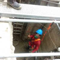 Carlos z la nueva era