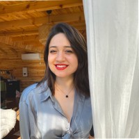 Diler Demir