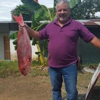 Elio Rojas