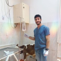 Ömer Hasar