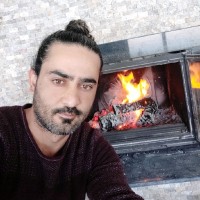 mehmet ince