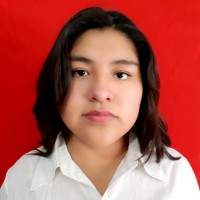 Carol Milenka Tinta Mancilla