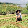 Khine Zar Lwin