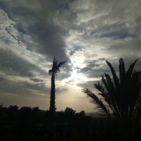 ALZAIIM_ الزعيم