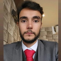 David Araujo Domingues