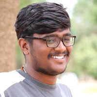 N Kaushik