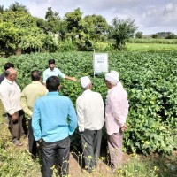 Gokul Kadbhane