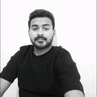 Javad P v