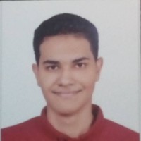 Tarek Alaa