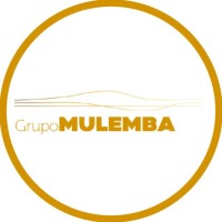 Grupomulemba Dep. Marketing