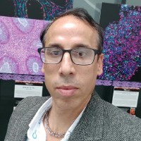 Saman (Asghar) Mesbahi (Ph.D.)