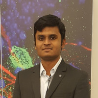 Rakshith Lokesh