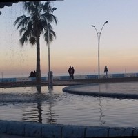 نضال التركاوي