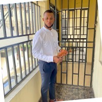 Ebi Ogbolo