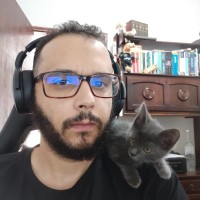 Diego Adenir Ferreira De Paula Carvalho