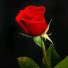 Lalmohammad ansari