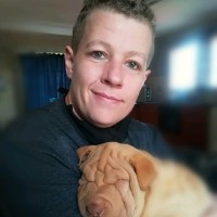 Nicky van der Westhuizen