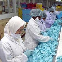 Latex Gloves