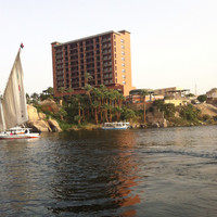 Tarek Hamed