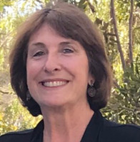 Gaye Shapiro