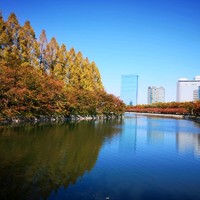 关海楠