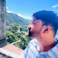 Ashish Bhadouriya