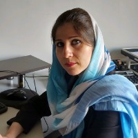 Parisa Rashidi