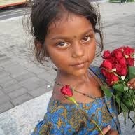 Flower Dolly