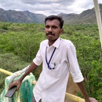 Saravanan Karmegapandian