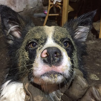 Martijn van der Ende