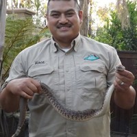 Vince Piyamanothamkul