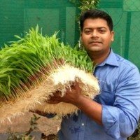 Ashwin Sawant