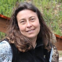 Carmen Field