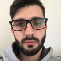 Leonardo Vitor Cardoso