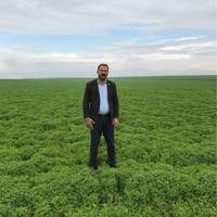Vedat Olgun