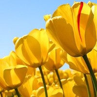 Ashley Perry