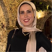 Hamsa Amr