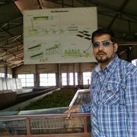 Mansoor Gandhi
