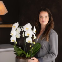 Suze Rethans
