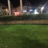 余嘉琪